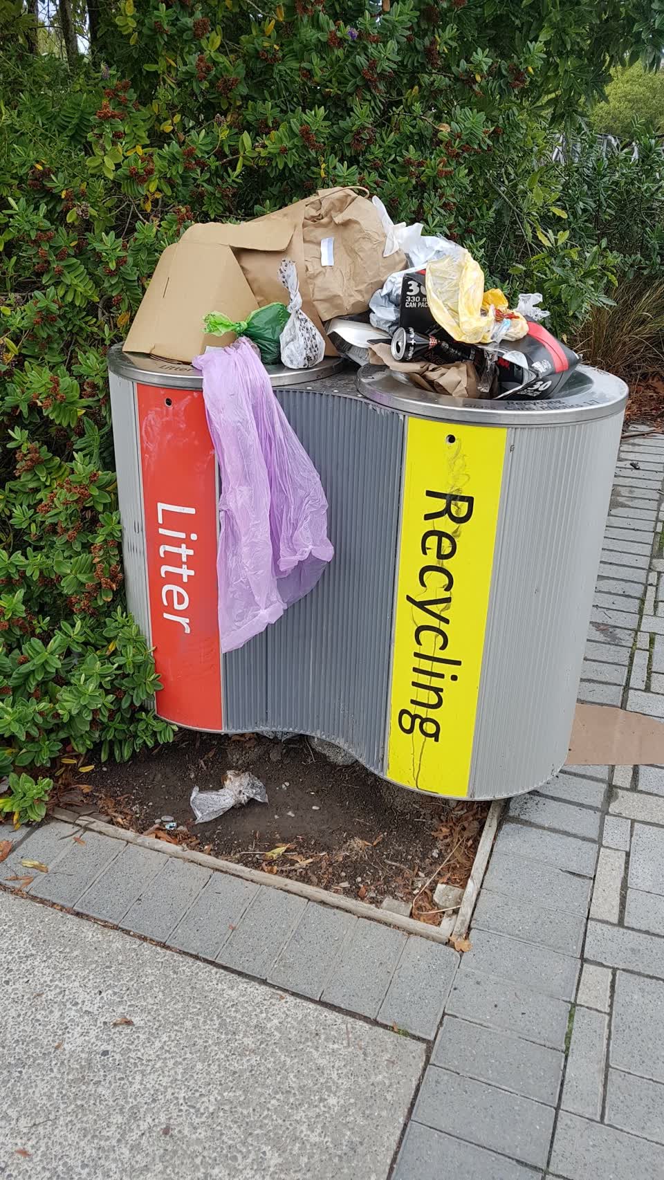 The photograph attached to this rubbish/recycling report