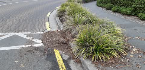 Roading/Streets, a report photo