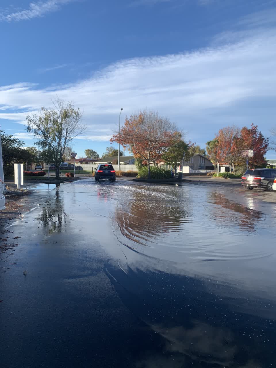 The photograph attached to this parks report