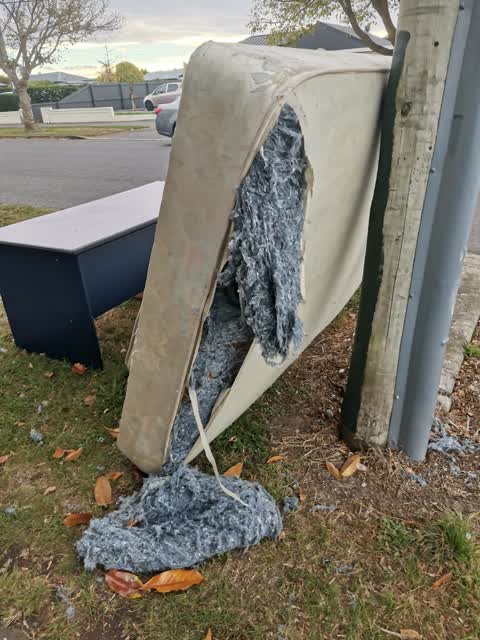 Rubbish/Recycling, a report photo