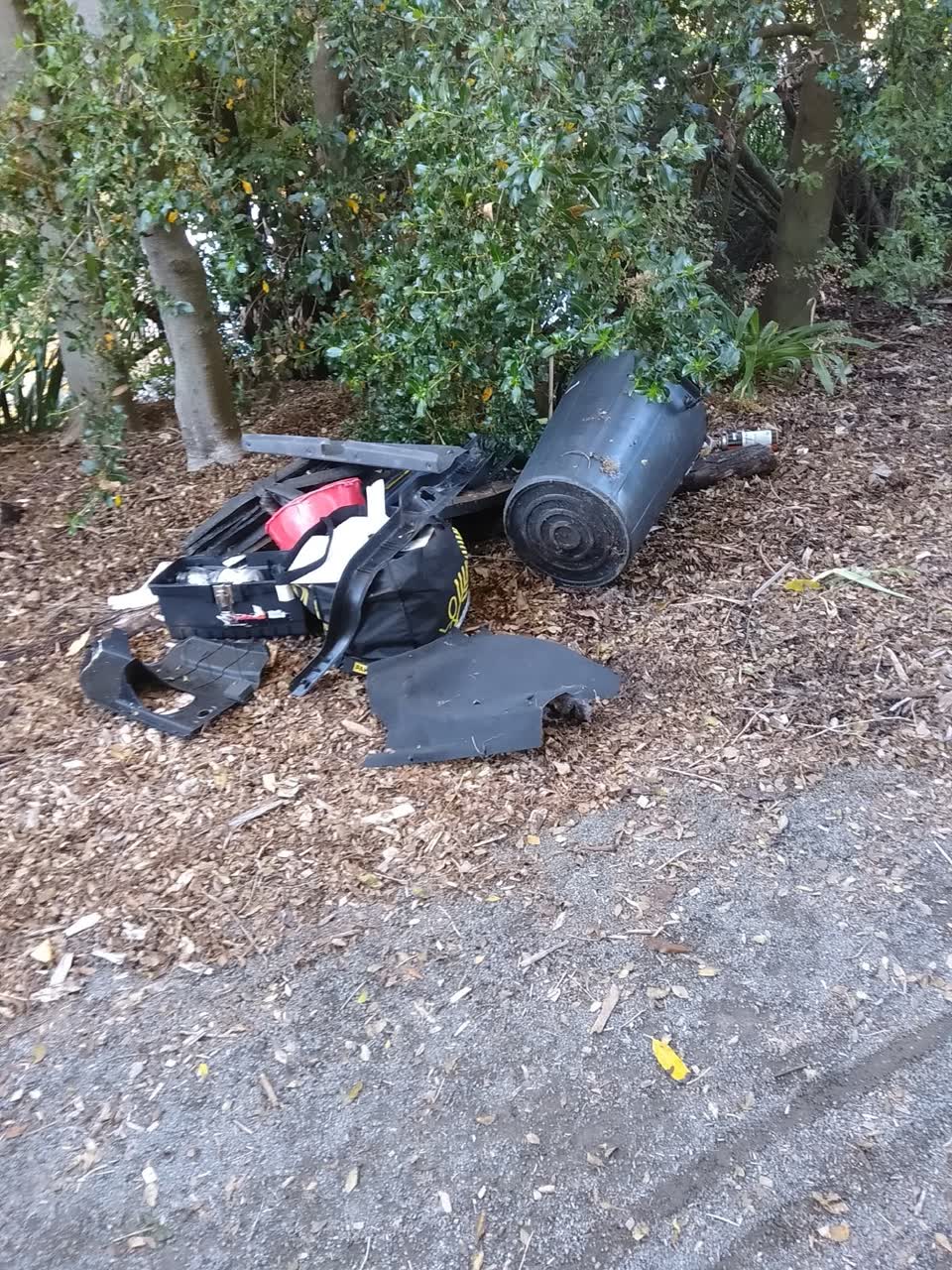 The photograph attached to this parks report