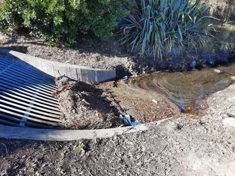 Sewer - Leak / Blockage, a report photo