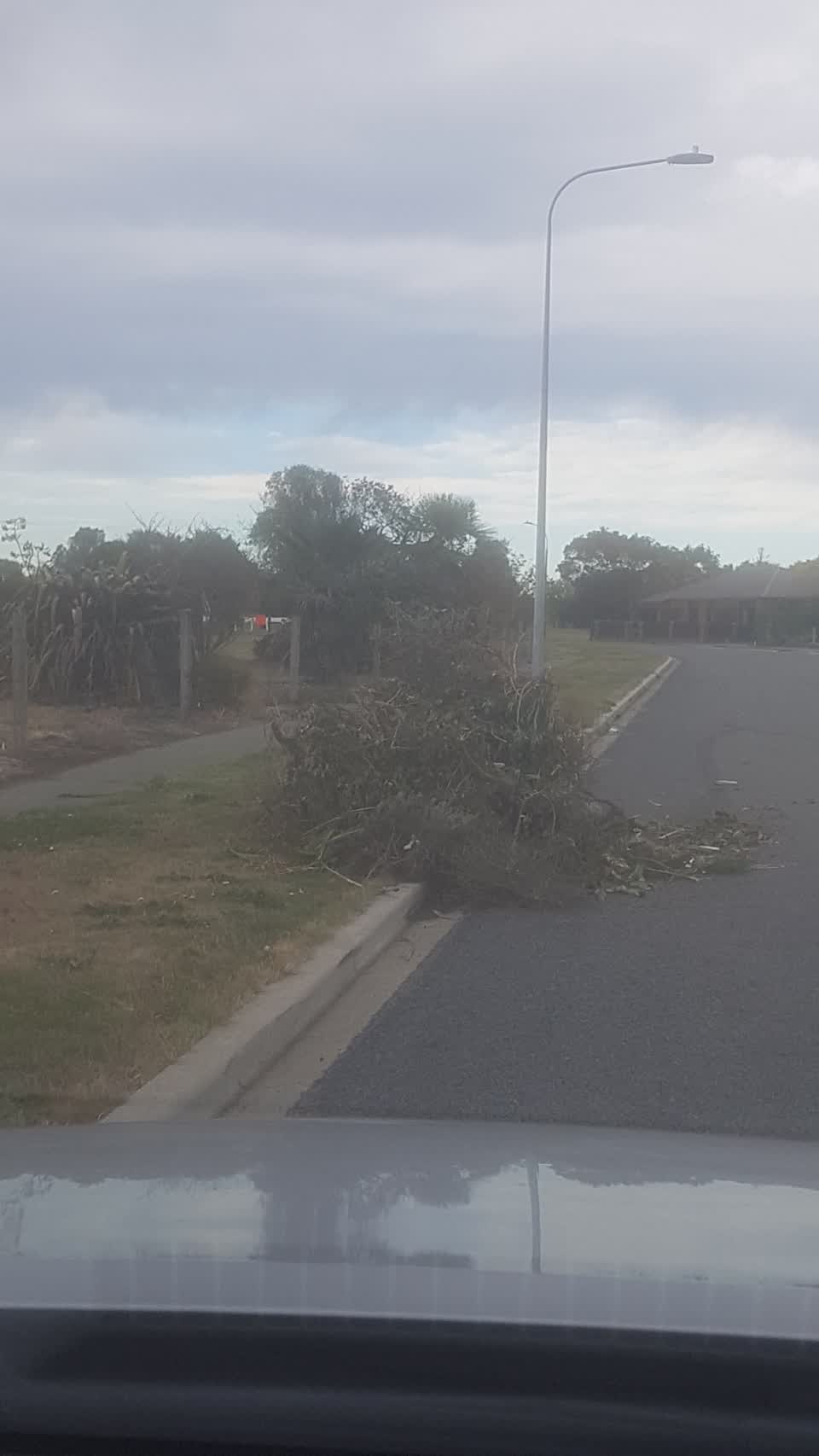 The photograph attached to this parks report