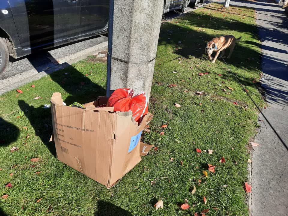 The photograph attached to this rubbish/recycling report