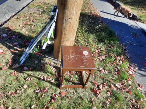 Rubbish/Recycling, a report photo