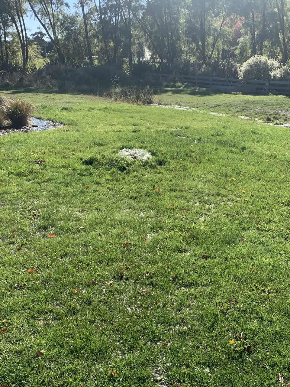 The photograph attached to this water leak report
