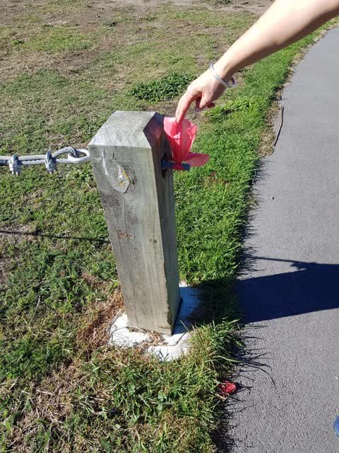 Parks, a report photo
