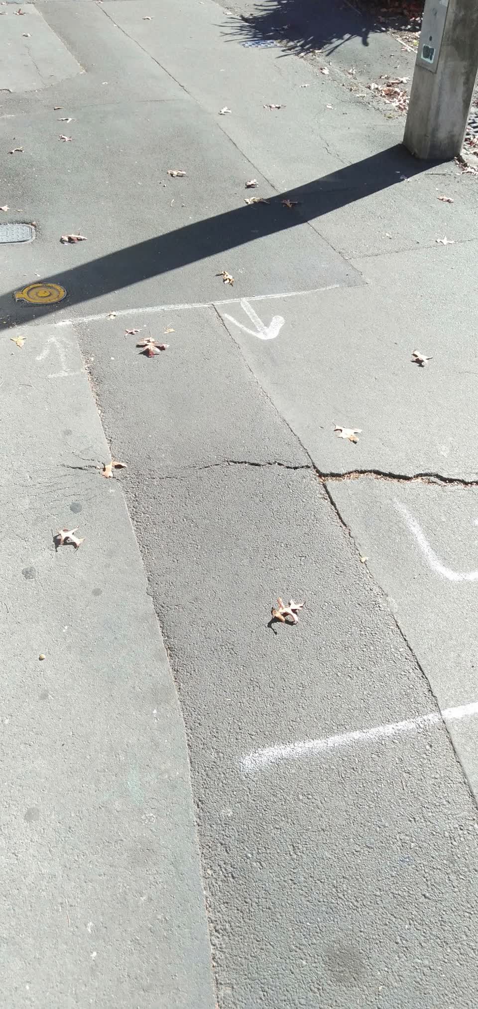 The photograph attached to this roading/streets report