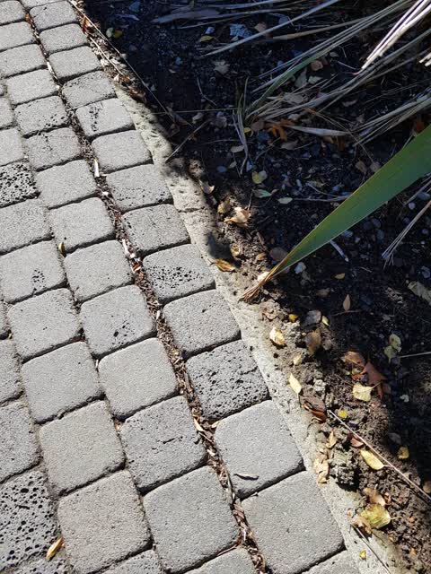 Roading/Streets — a report photo