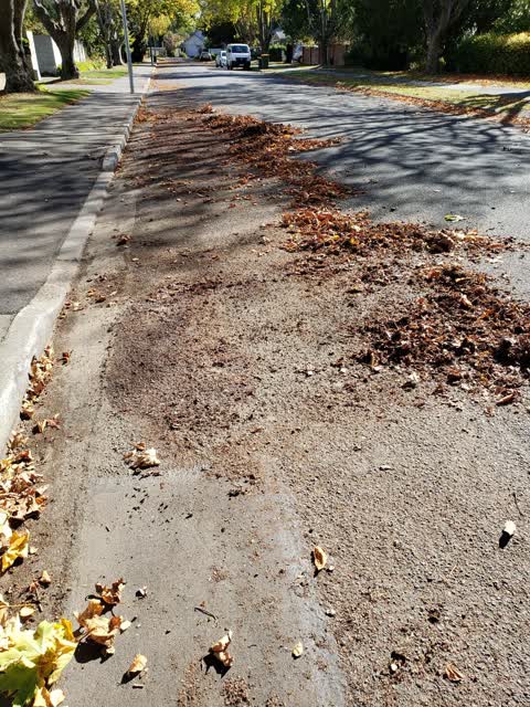 Roading/Streets, a report photo