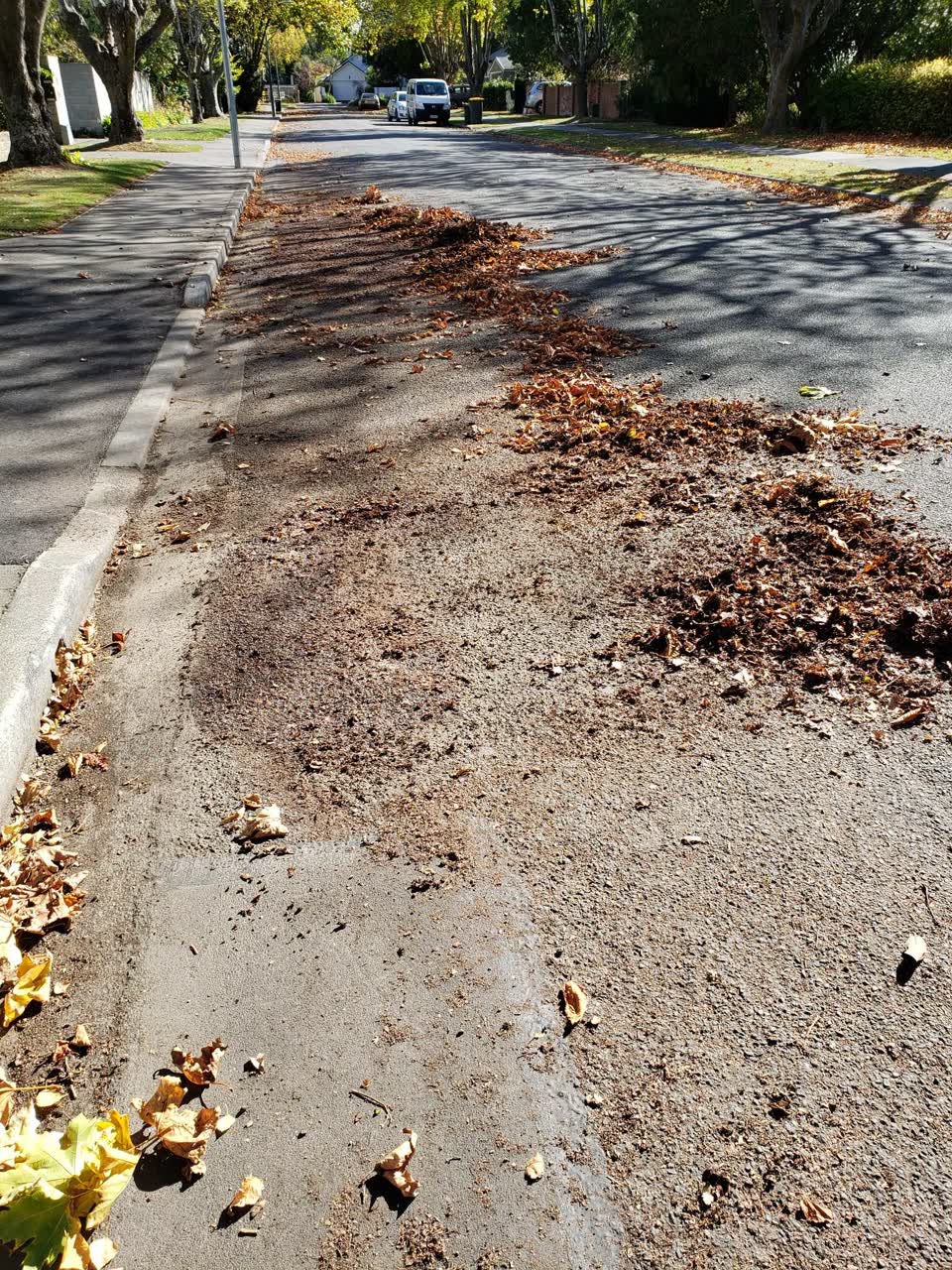 The photograph attached to this roading/streets report