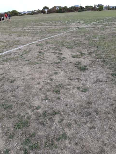 Parks, a report photo