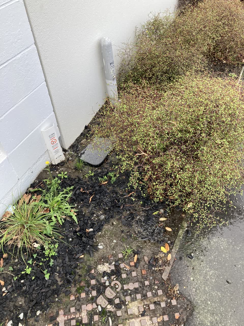 The photograph attached to this water leak report