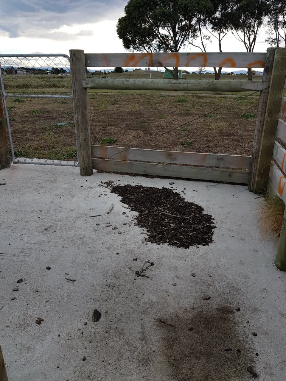 The photograph attached to this parks report