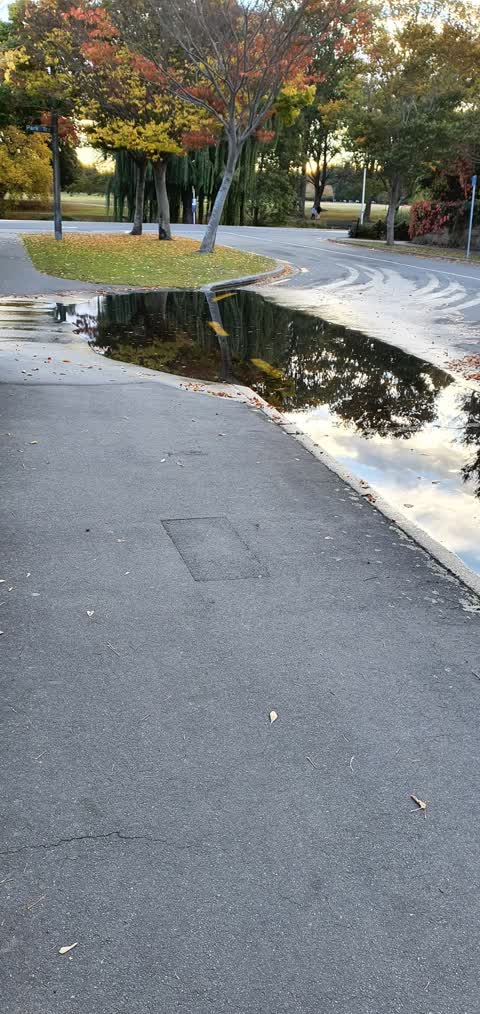 Flooding, a report photo