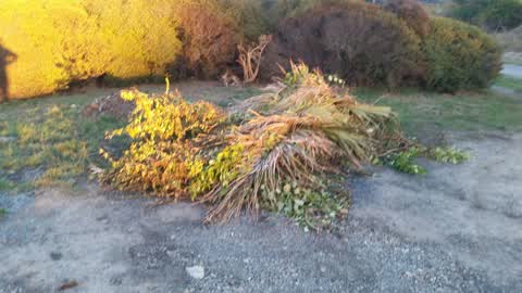 Rubbish/Recycling, a report photo