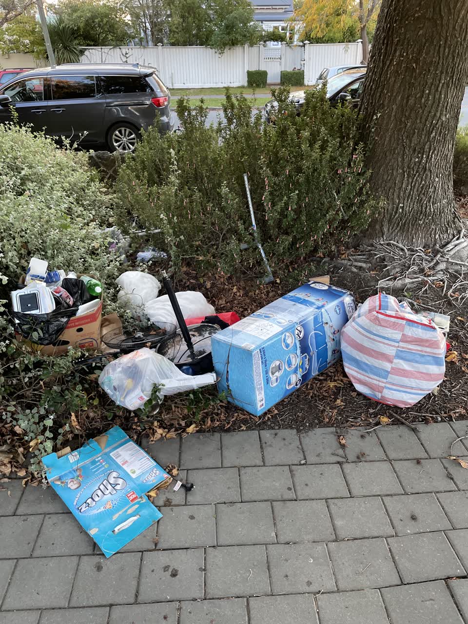 The photograph attached to this parks report