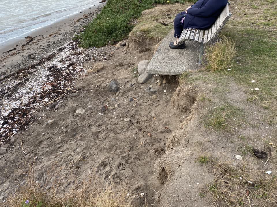 The photograph attached to this parks report