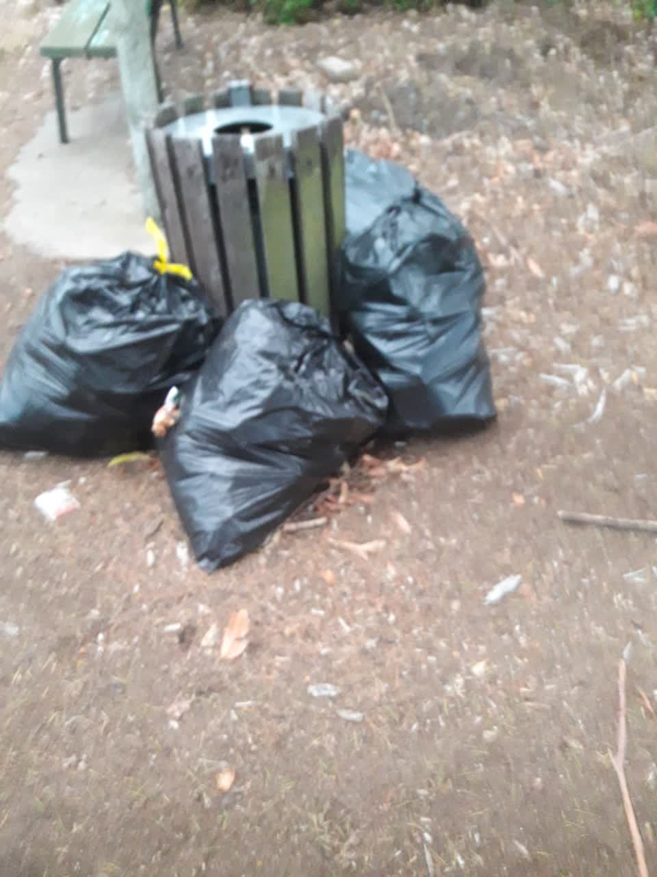 The photograph attached to this parks report