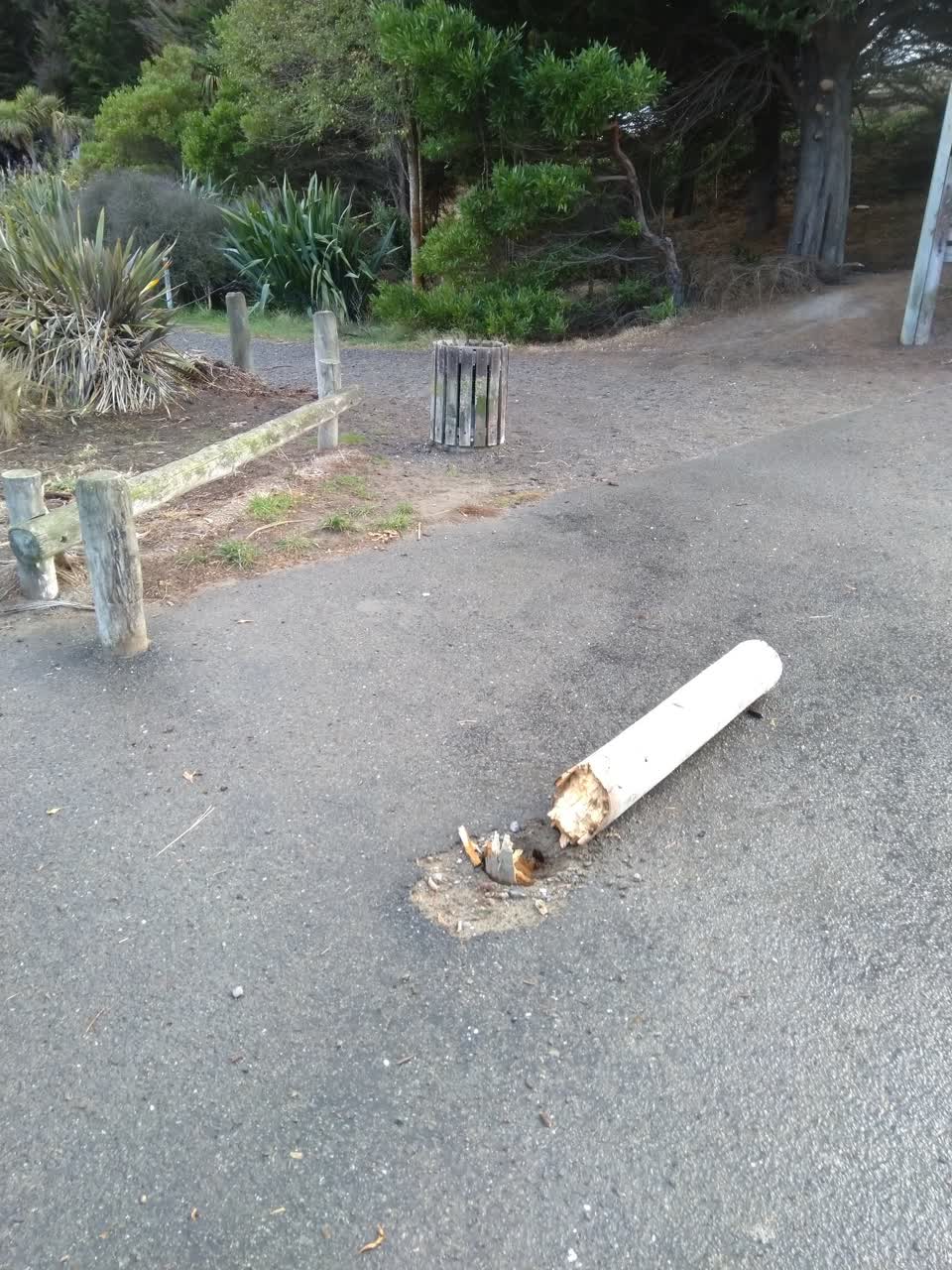 The photograph attached to this parks report