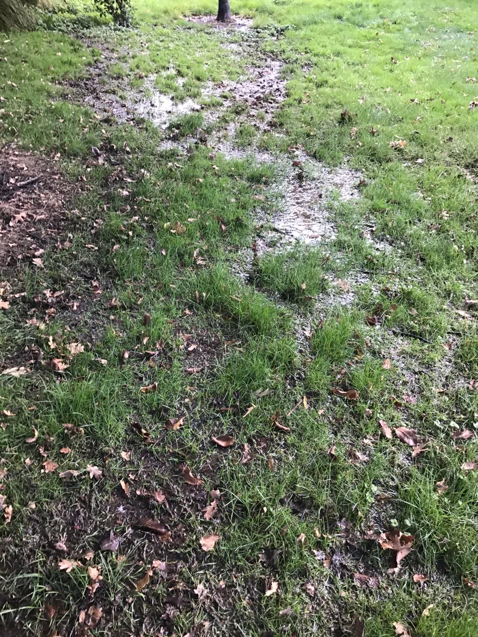The photograph attached to this flooding report