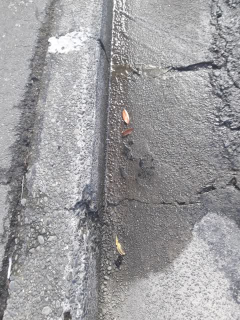 Wastewater/Stormwater, a report photo