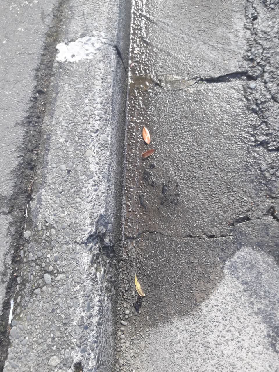 The photograph attached to this wastewater/stormwater report