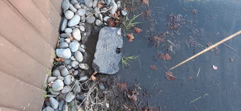 Water Leak, a report photo