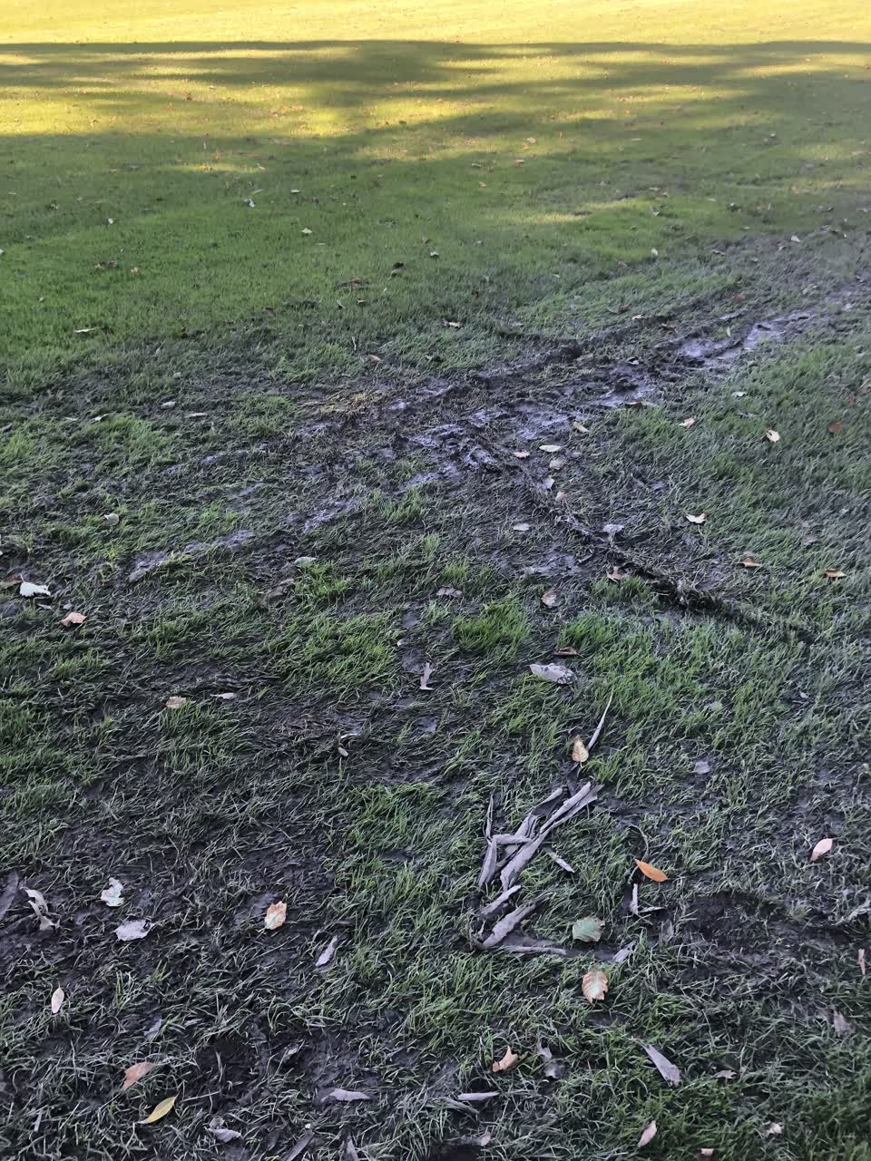 The photograph attached to this parks report