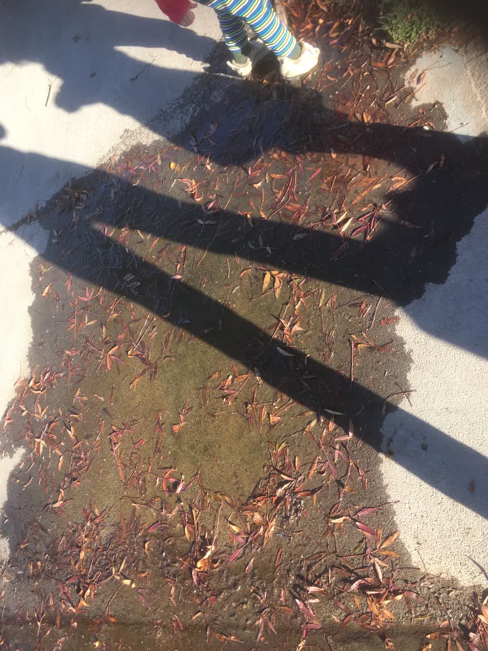 The photograph attached to this water leak report