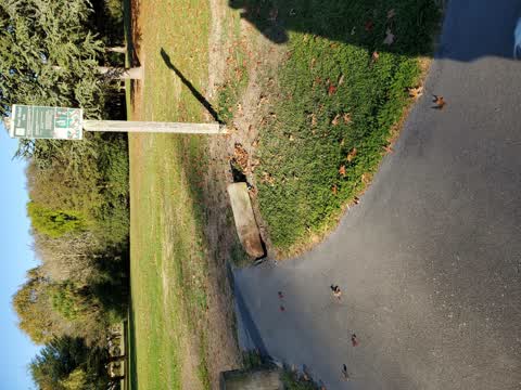 Parks, a report photo