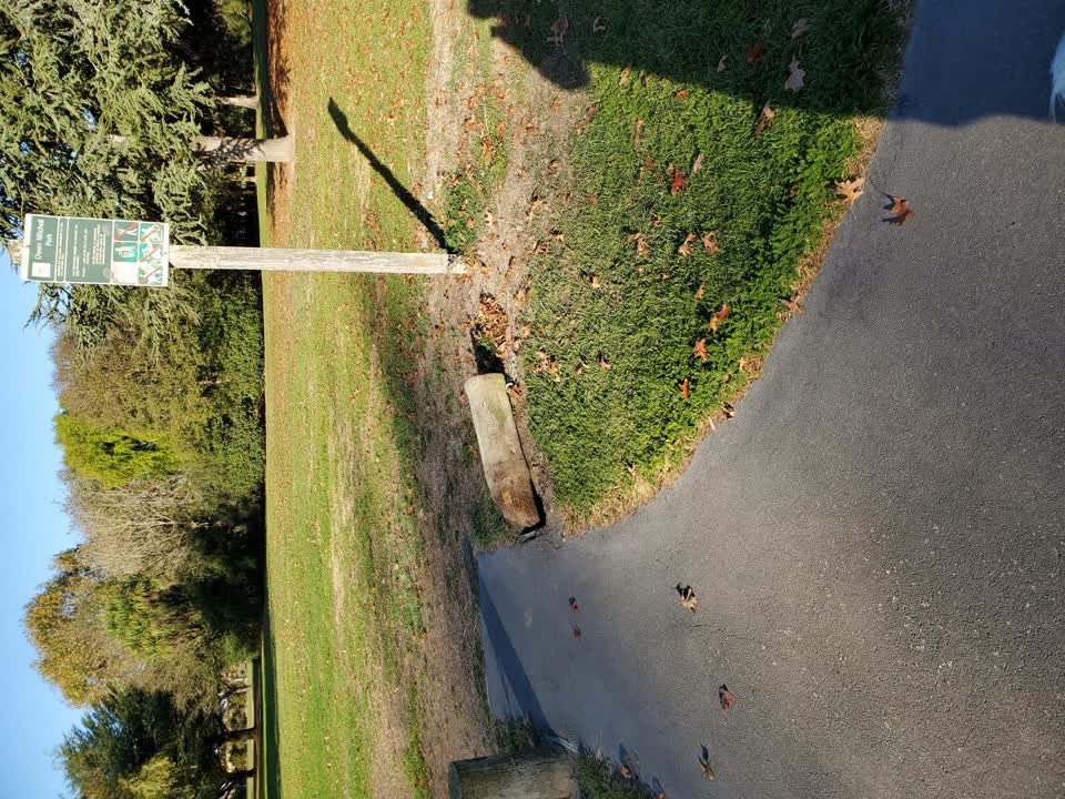The photograph attached to this parks report