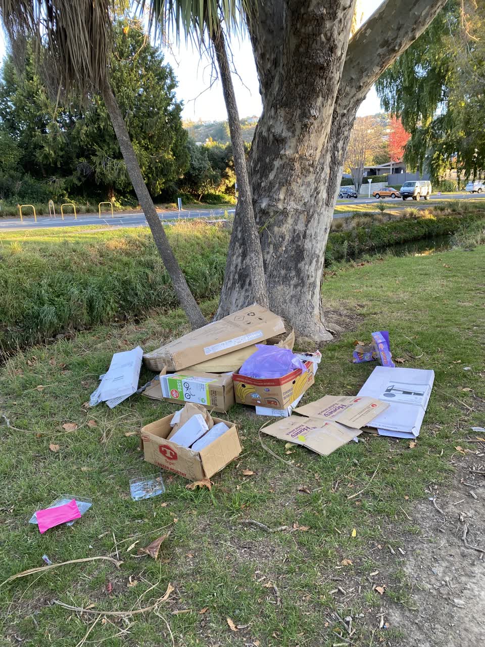 The photograph attached to this rubbish/recycling report