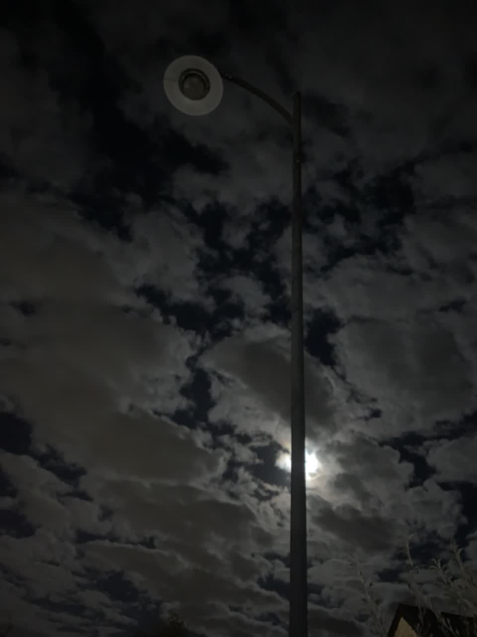 The photograph attached to this street light outage report