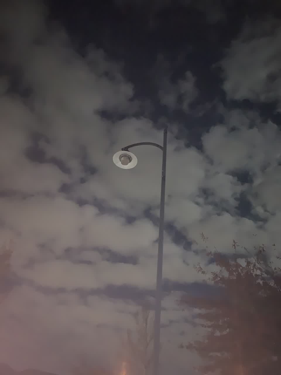The photograph attached to this street light outage report