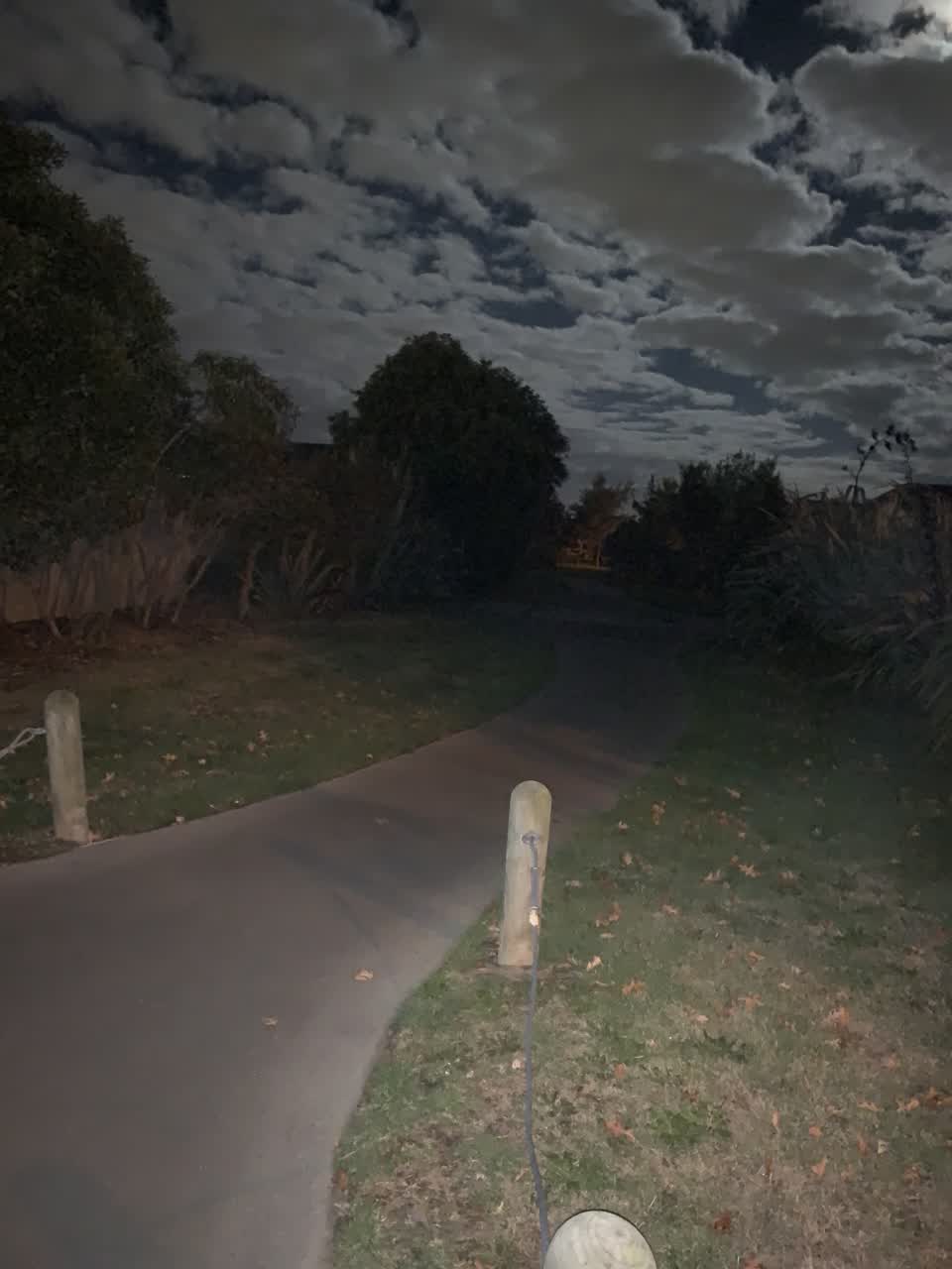 The photograph attached to this street light outage report
