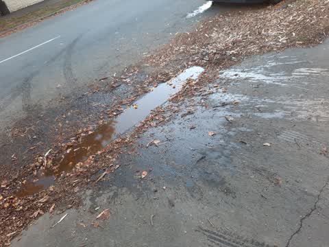 Roading/Streets, a report photo