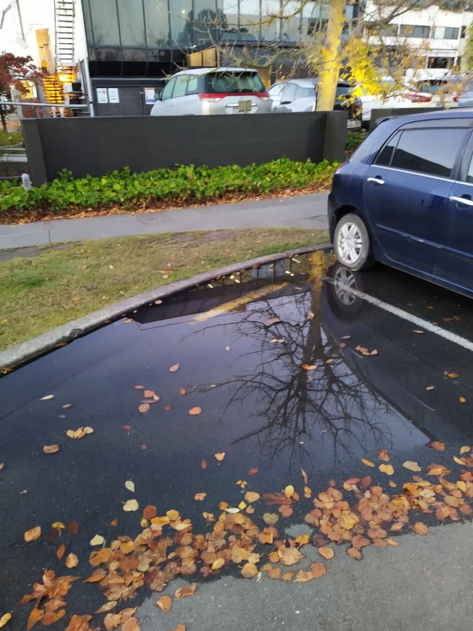 The photograph attached to this water leak report