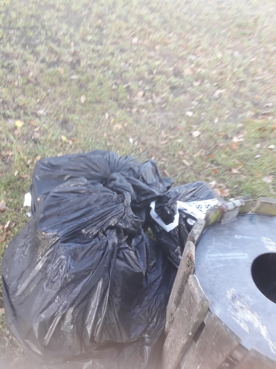 The photograph attached to this parks report