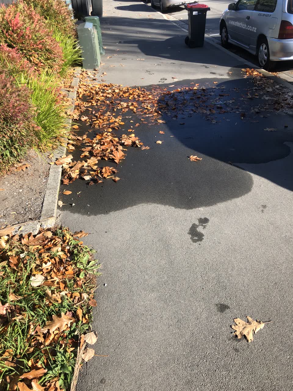 The photograph attached to this water leak report