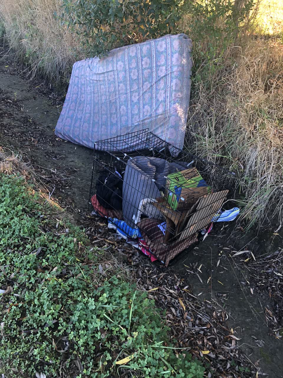 The photograph attached to this rubbish/recycling report