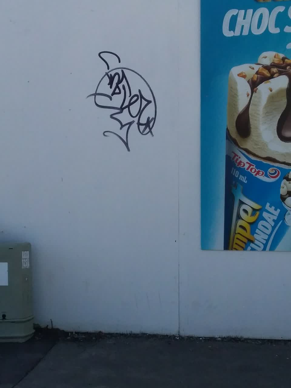 The photograph attached to this graffiti report