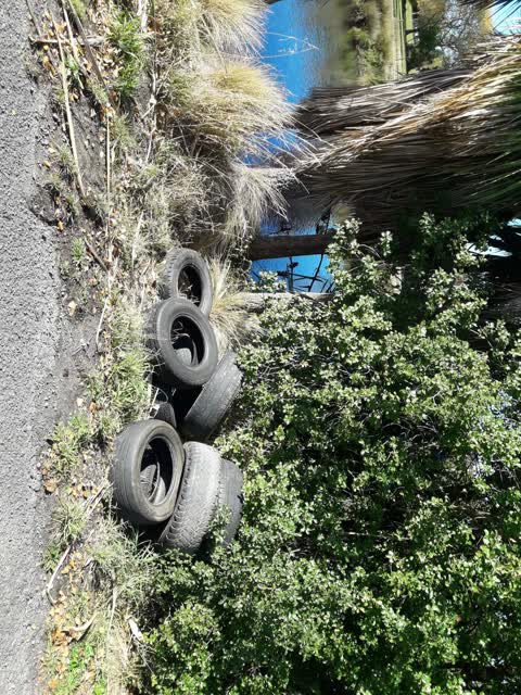 Rubbish/Recycling, a report photo