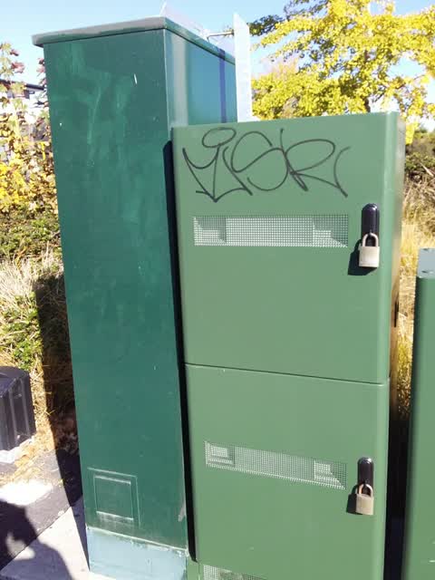 Graffiti — a report photo
