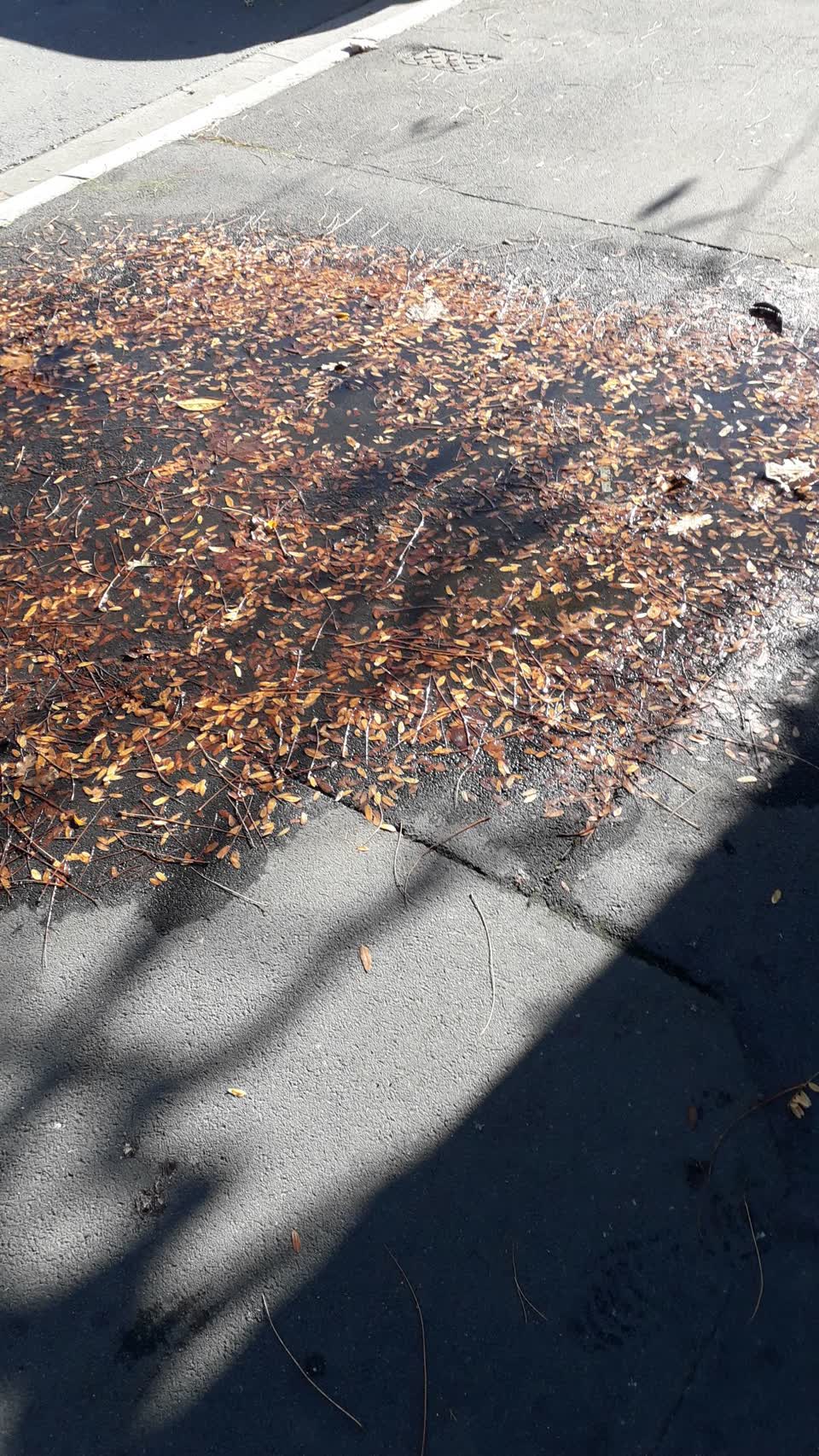 The photograph attached to this water leak report