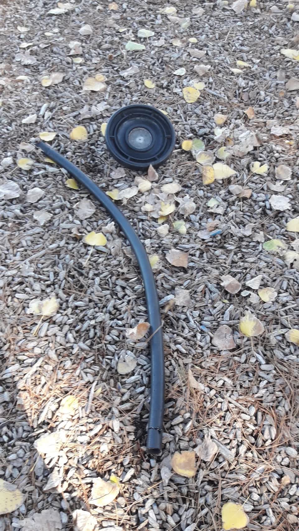 The photograph attached to this parks report