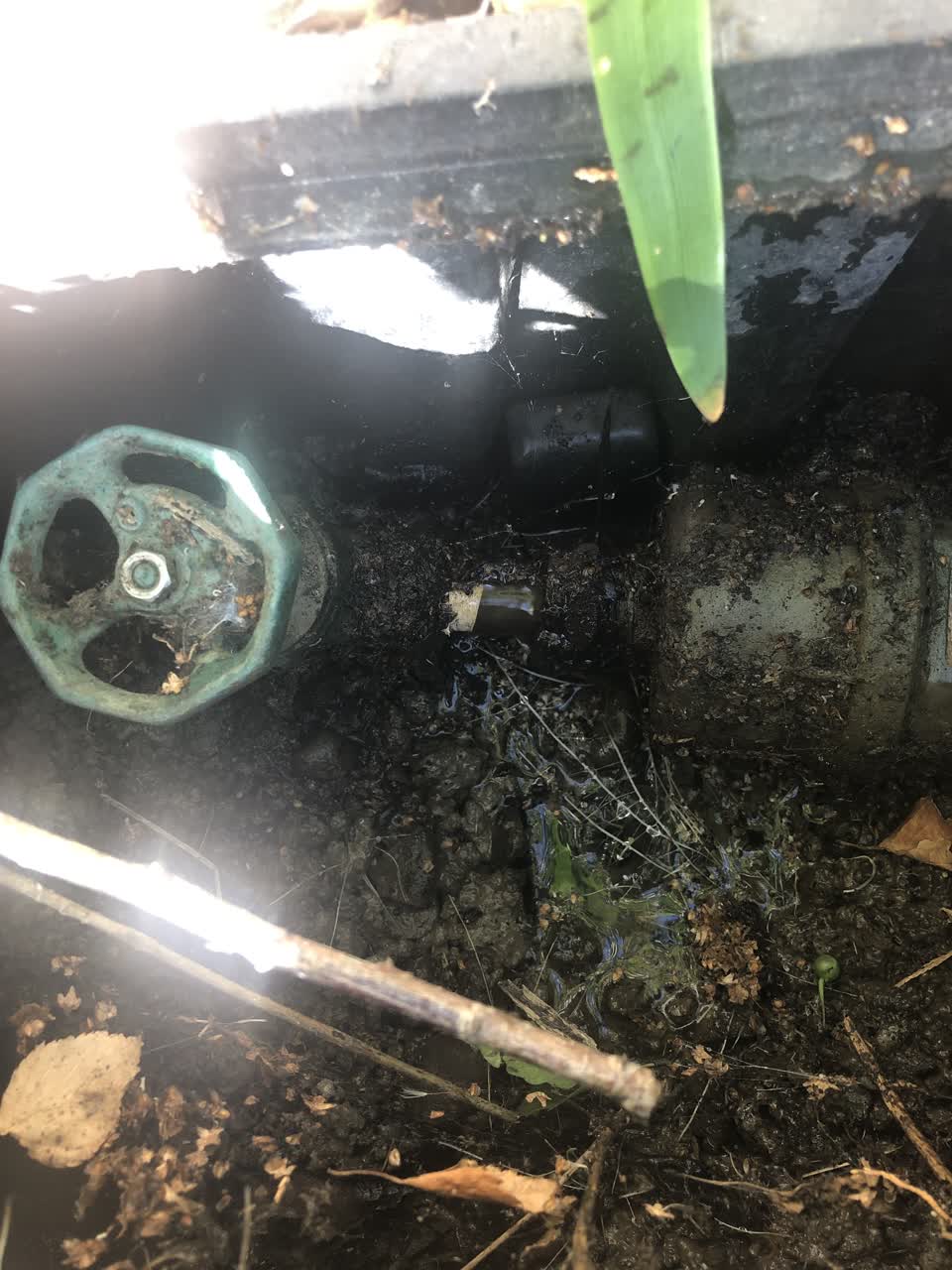 The photograph attached to this water leak report
