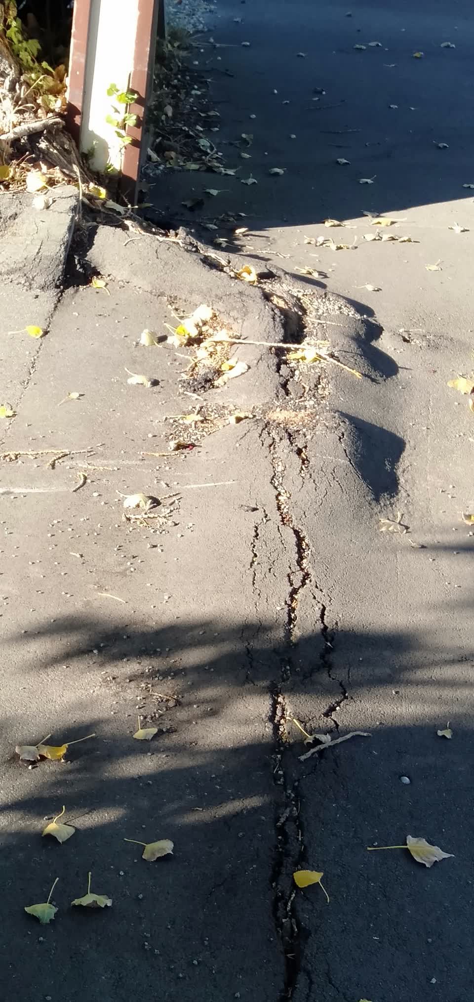 The photograph attached to this roading/streets report