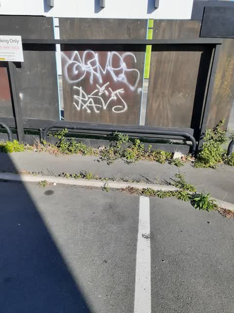 Graffiti — a report photo