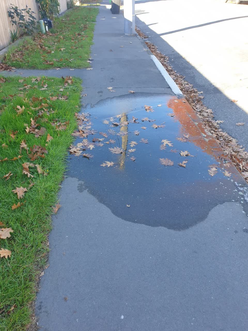 The photograph attached to this water leak report